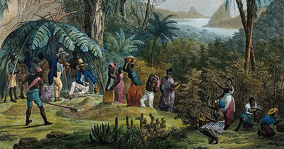 Indian workers harvesting coffee. Colored lithograph by Deroi, circa 1850.