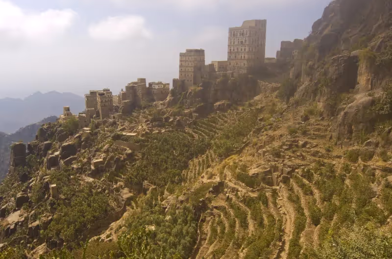 organic terrace grown hand picked and rooftop sun dried